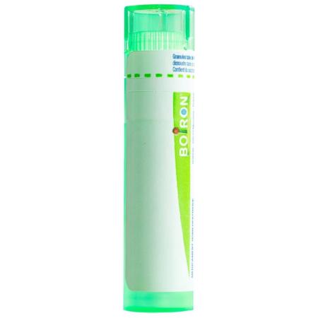 Boiron Pulsatilla Gran C5 4g - PrimeCare Global
