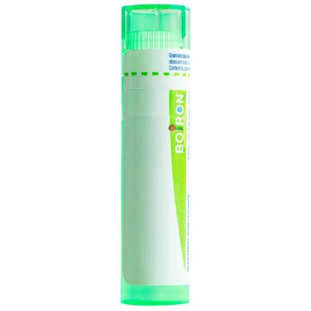 Boiron Pulsatilla Gran C5 4g - PrimeCare Global