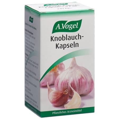 Vogel garlic capsules glass 240 pcs - PrimeCare Global