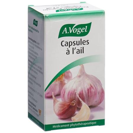 Vogel garlic capsules glass 240 pcs - PrimeCare Global