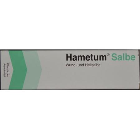 Hametum Salbe 50g - PrimeCare Global