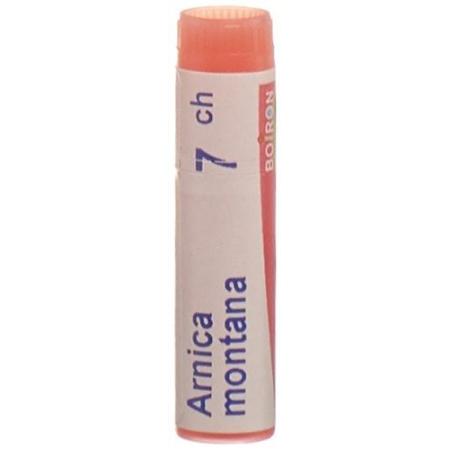 Boiron Arnica montana Glob C 7 1 dose - PrimeCare Global