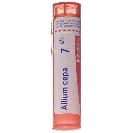 Boiron Allium cepa Gran C 7 4g - PrimeCare Global
