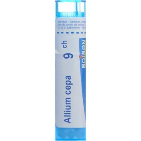 Boiron Allium cepa Gran C 9 4g - PrimeCare Global