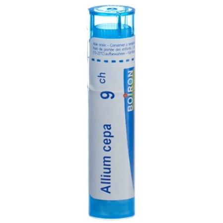 Boiron Allium cepa Gran C 9 4g - PrimeCare Global