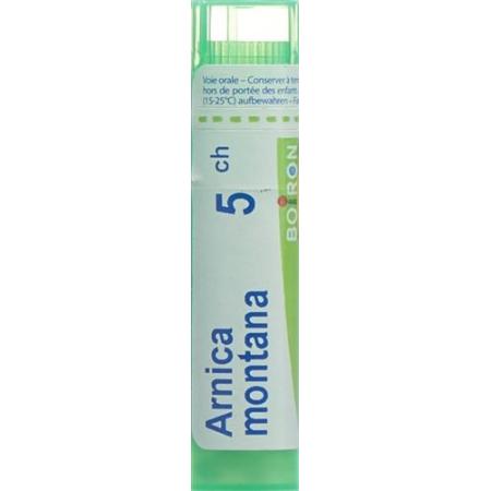 Boiron Arnica montana Gran C 5 4g - PrimeCare Global