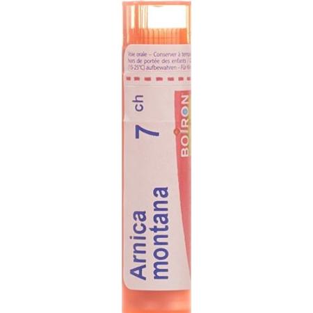 Boiron Arnica montana Gran C 7 4g - PrimeCare Global