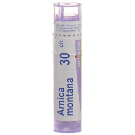 Boiron Arnica Montana Gran C 30 4g - PrimeCare Global