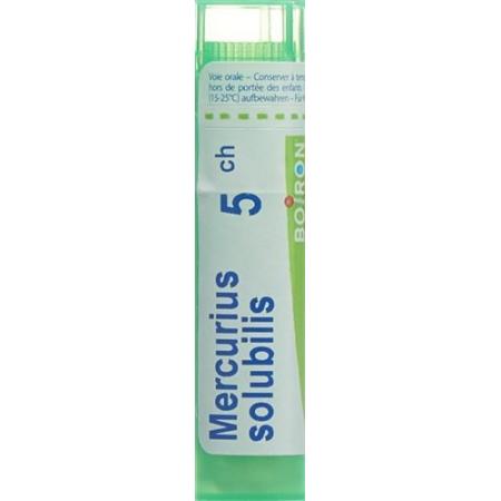 Boiron Mercurius solubilis Gran C5 4g - PrimeCare Global