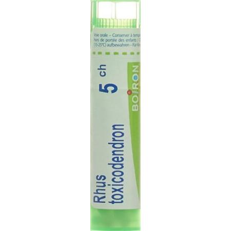 Boiron Rhus toxicodendron Gran C 5 4 g - PrimeCare Global