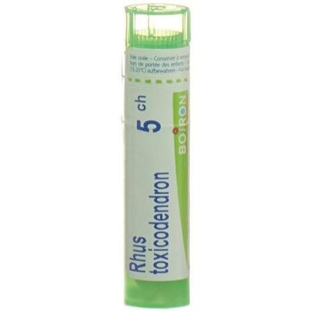 Boiron Rhus toxicodendron Gran C 5 4 g - PrimeCare Global
