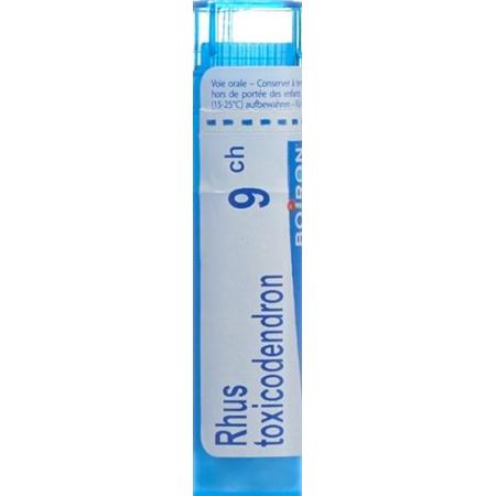 Boiron Rhus toxicodendron Gran C 9 4 g - PrimeCare Global