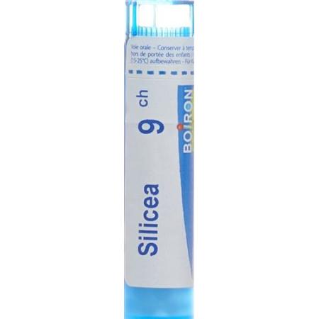 Boiron Silicea Gran C 9 4g - PrimeCare Global