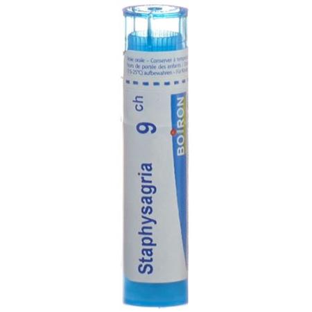 Boiron Staphysagria Gran C 9 4g - PrimeCare Global