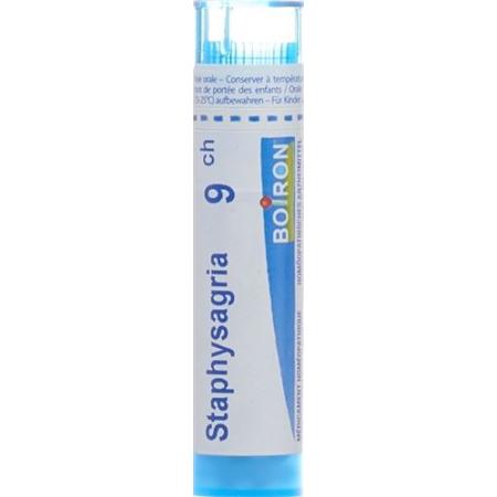 Boiron Staphysagria Gran C 9 4g - PrimeCare Global