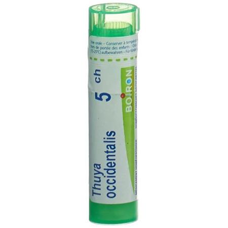 Boiron Thuya occidentalis Gran C 5 4g - PrimeCare Global
