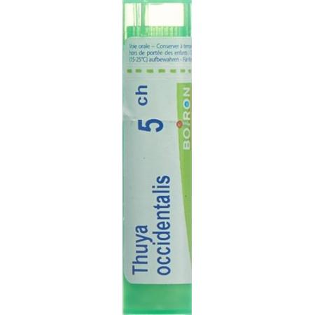 Boiron Thuya occidentalis Gran C 5 4g - PrimeCare Global