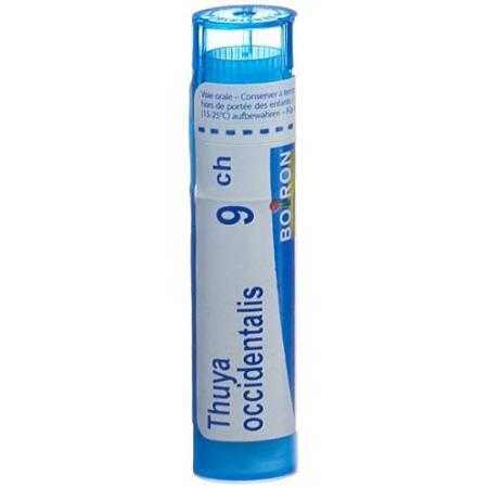 Boiron Thuya occidentalis Gran C 9 4g - PrimeCare Global