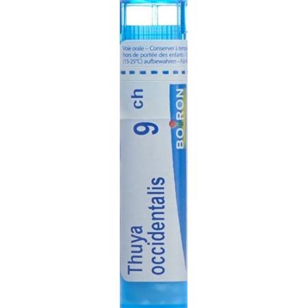 Boiron Thuya occidentalis Gran C 9 4g - PrimeCare Global