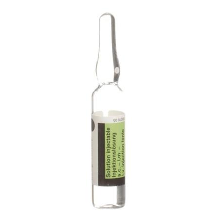 Atropinum Sulf Sintetica Inj Loes 0.5mg/ml 10amp 1ml - PrimeCare Global