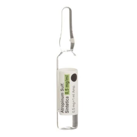 Atropinum Sulf Sintetica Inj Loes 0.5mg/ml 10amp 1ml - PrimeCare Global