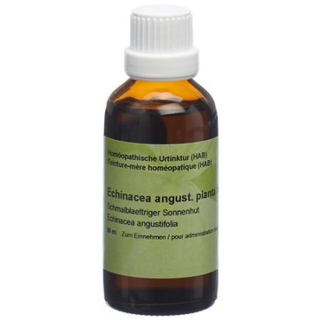 Spagyros Echinacea angustifolia mother tint 50 ml - PrimeCare Global