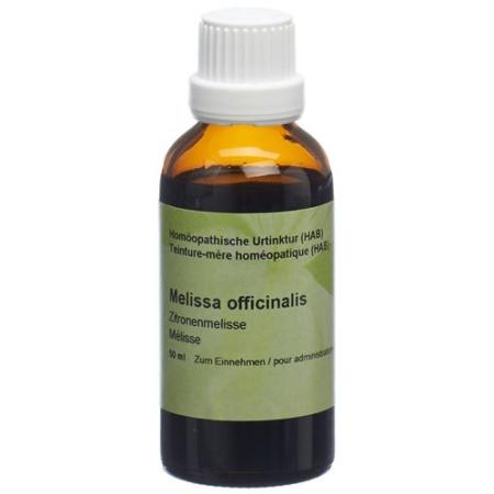 Spagyros Melissa officinalis mother tint 50 ml - PrimeCare Global
