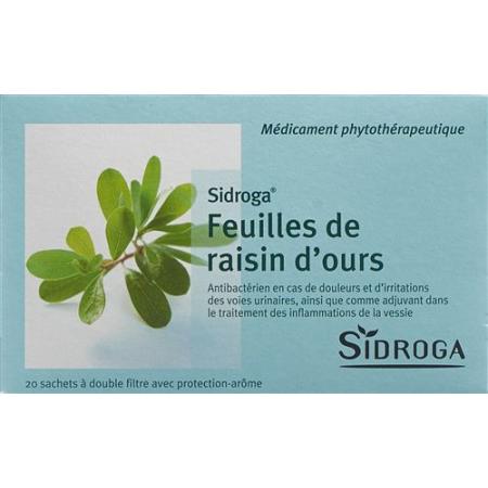 Sidroga Bearberry Leaves 20 Bags 2 g - PrimeCare Global