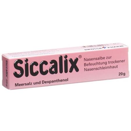 Siccalix nasal ointment 20 g - PrimeCare Global