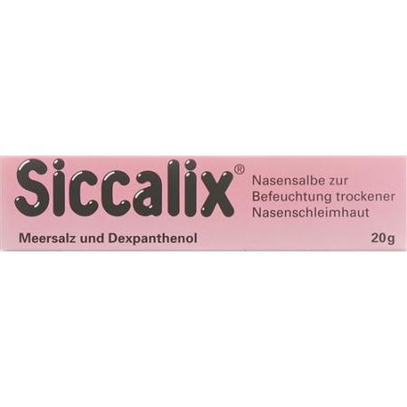 Siccalix nasal ointment 20 g - PrimeCare Global