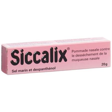Siccalix nasal ointment 20 g - PrimeCare Global