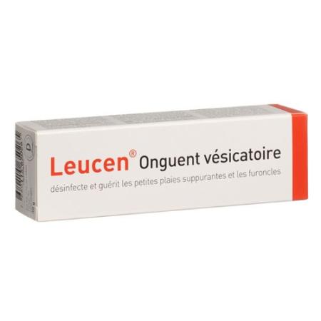 Leucene Zugsalbe tube 30 g - PrimeCare Global