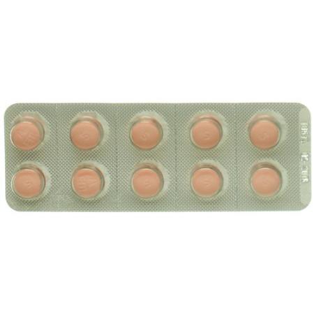Plendil Ret Tabl 5 mg 20 pcs - PrimeCare Global
