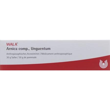 Wala Arnica comp. Ointment Tb 30 g - PrimeCare Global