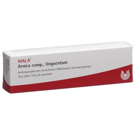 Wala Arnica comp. Ointment Tb 30 g - PrimeCare Global