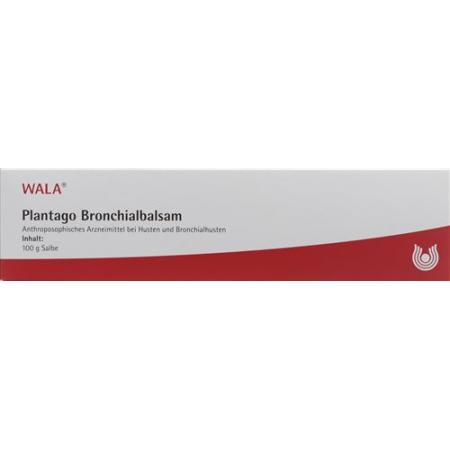 Wala Plantago Bronchial Balm tube 100 g - PrimeCare Global