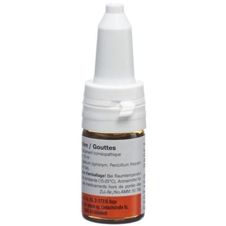 Quentakehl Drops D 5 Fl 10 ml - PrimeCare Global