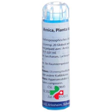 Weleda Arnica Planta tota Glob D 3 4 g - PrimeCare Global