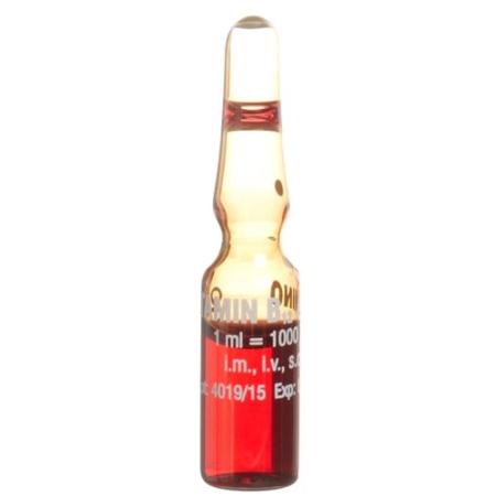 Vitamin B12 Amino Inj Loes 1000 mcg 10 amp 1 ml - PrimeCare Global