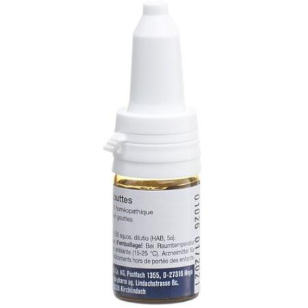 Mucedokehl Drops D 5 Bottles 10 ml - PrimeCare Global