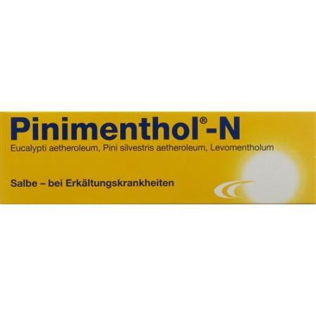 Pinimenthol N Ointment Tb 40 g - PrimeCare Global