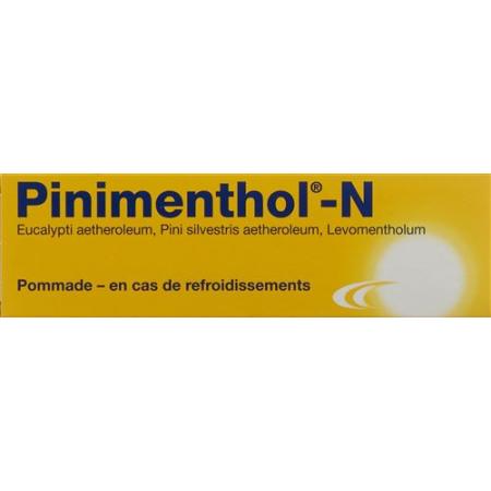 Pinimenthol N Ointment Tb 40 g - PrimeCare Global