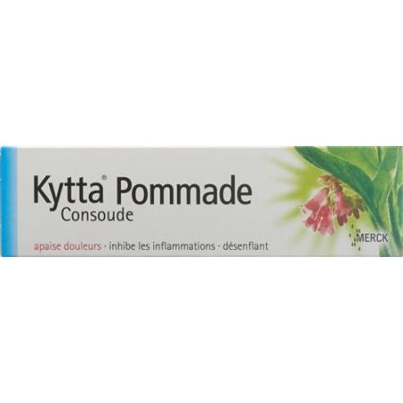 Kytta Ointment 50 g - PrimeCare Global