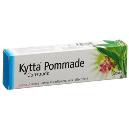 Kytta Ointment 50 g - PrimeCare Global