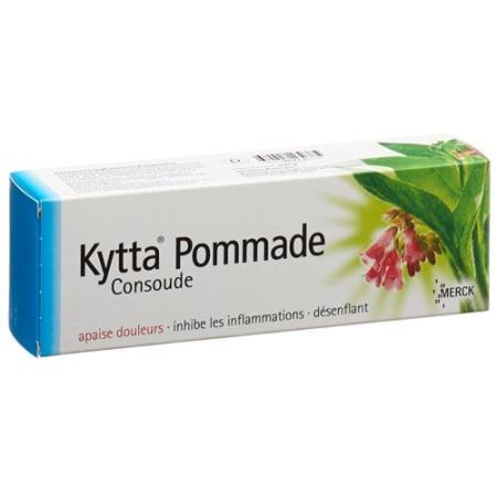 Kytta Ointment 100 g - PrimeCare Global