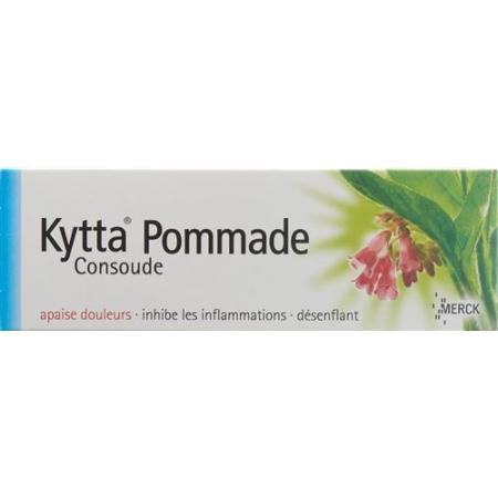 Kytta Ointment 100 g - PrimeCare Global