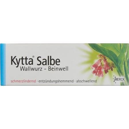 Kytta Ointment 100 g - PrimeCare Global
