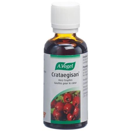 Vogel Crataegisan Drops Bottle 50 ml - PrimeCare Global