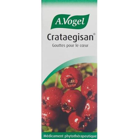 Vogel Crataegisan Drops Bottle 50 ml - PrimeCare Global