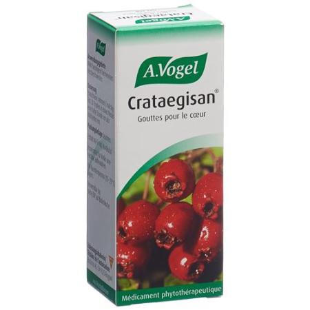 Vogel Crataegisan Drops Bottle 50 ml - PrimeCare Global